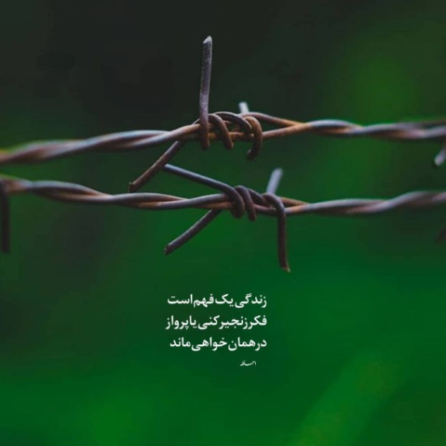دانلود آهنگ همین که هیچی نگفتی همه چیو گفت (ترند جدید) از هلیوم و لیتو